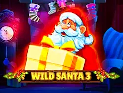 Wild_Santa_3